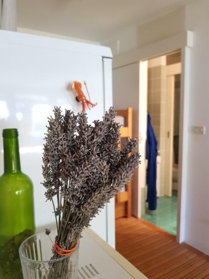 Mediterranean House Holiday home Umag
